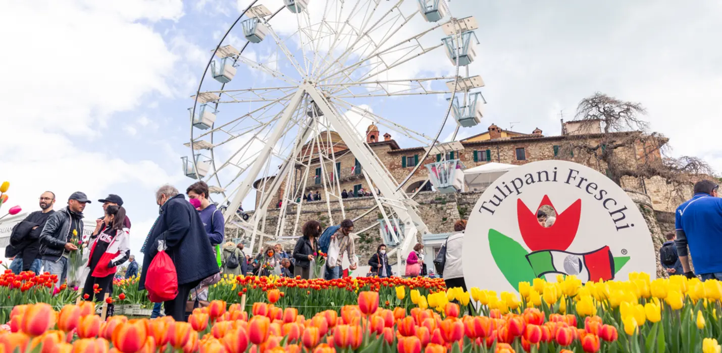 FESTA DEL TULIPANO A CASTIGLIONE DEL LAGO