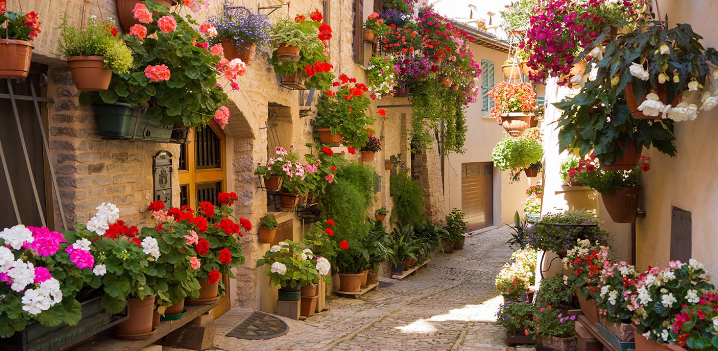 SPELLO E BOLSENA SPELLO E BOLSENA