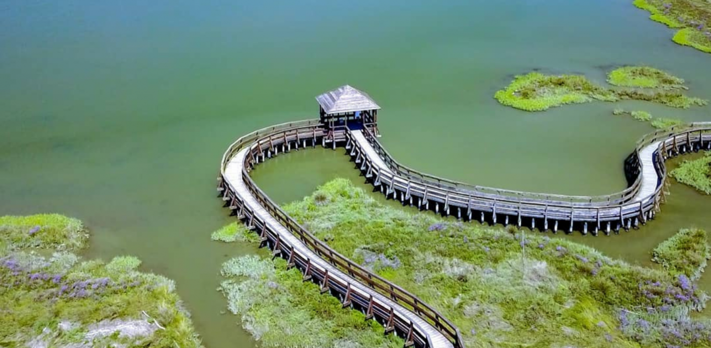 PARCO DEL DELTA DEL PO: L'OASI DI PORTO CALERI E LA GRANDE FOCE PARCO DEL DELTA DEL PO: L'OASI DI PORTO CALERI E LA GRANDE FOCE