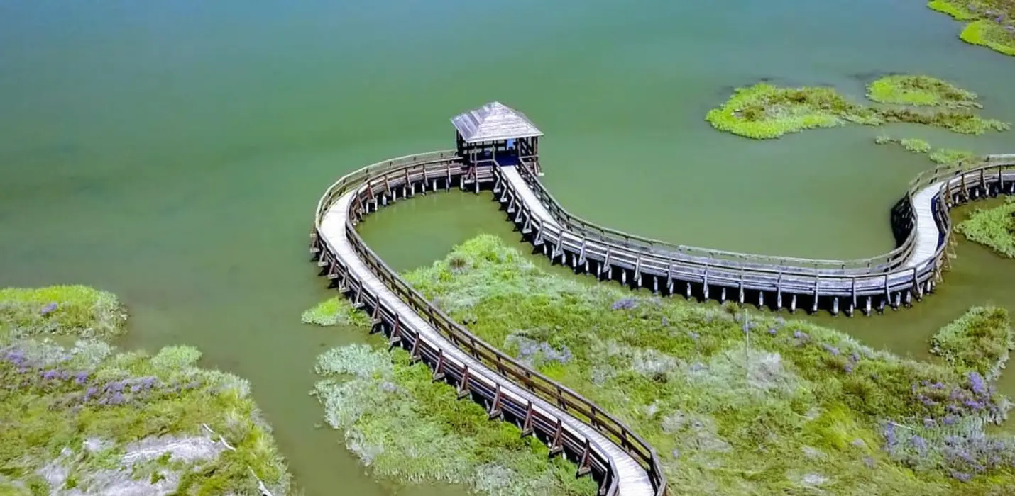 PARCO DEL DELTA DEL PO: L'OASI DI PORTO CALERI E LA GRANDE FOCE