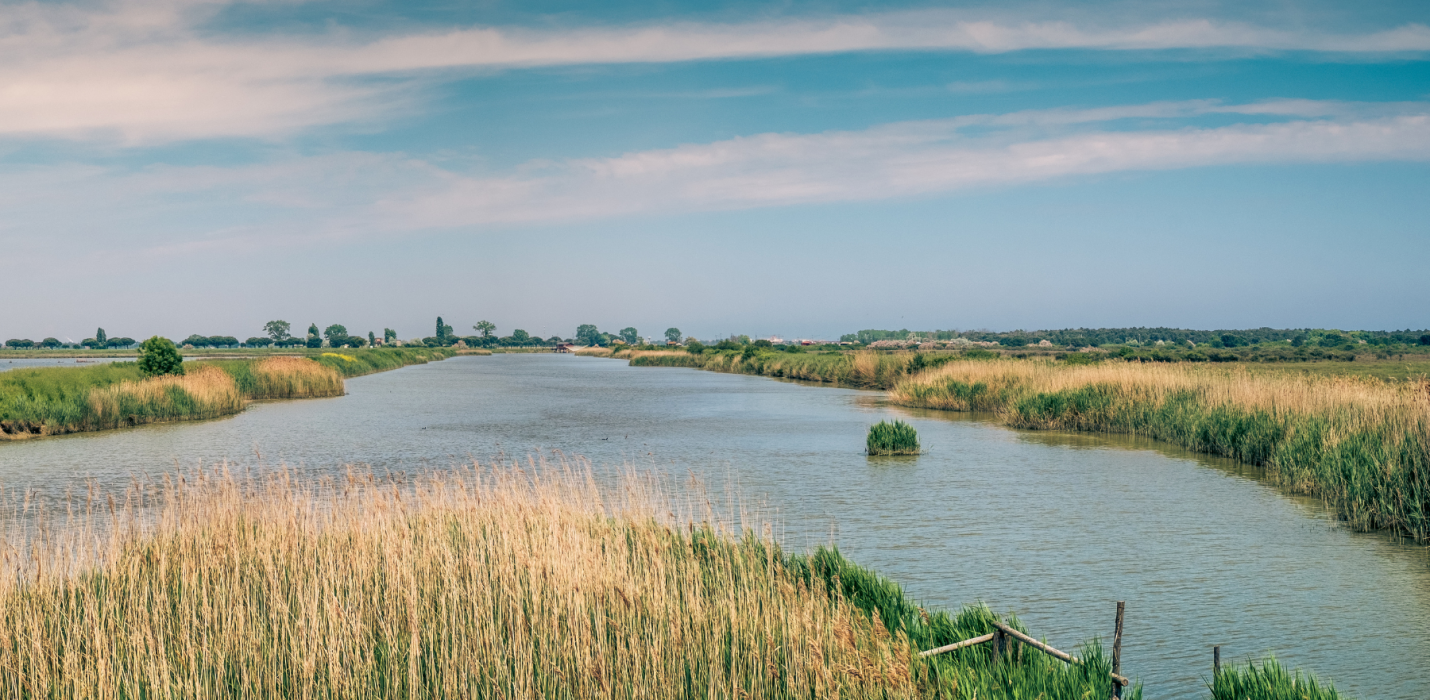 PARCO DEL DELTA DEL PO: L'OASI DI PORTO CALERI E LA GRANDE FOCE PARCO DEL DELTA DEL PO: L'OASI DI PORTO CALERI E LA GRANDE FOCE