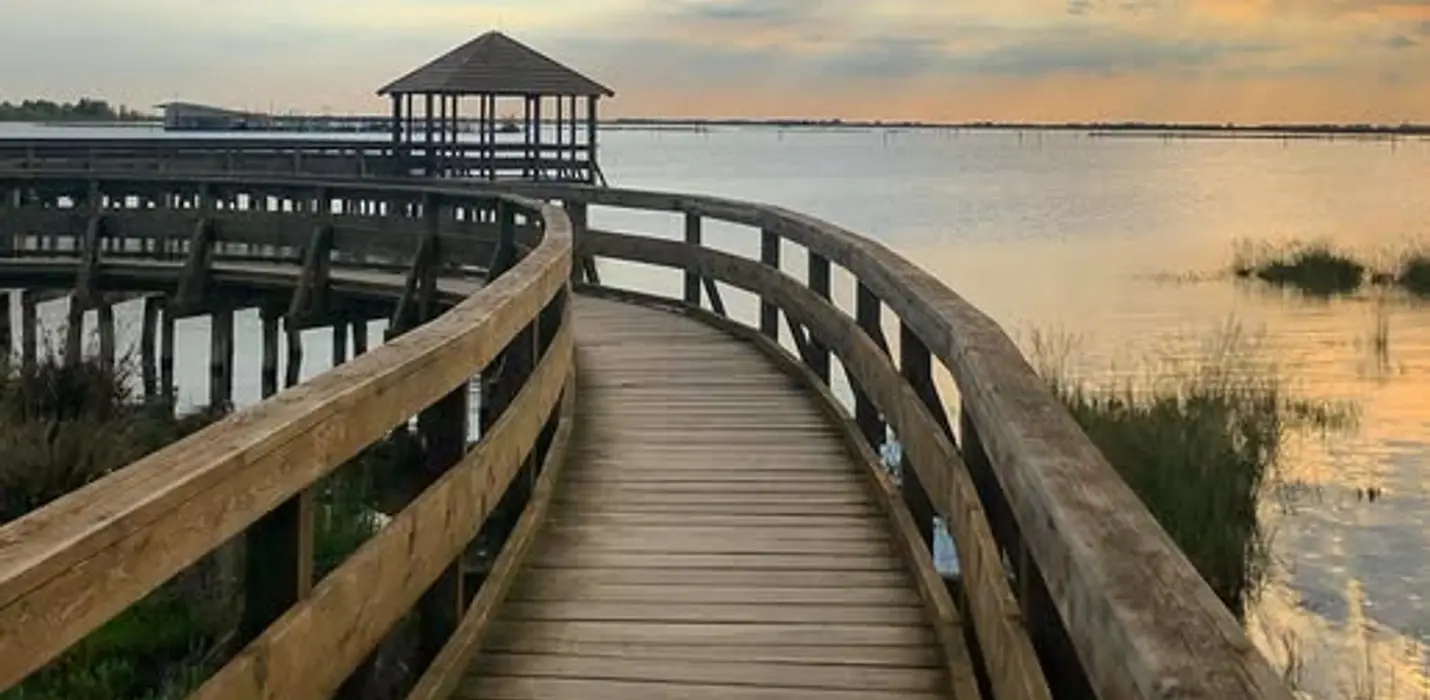 PARCO DEL DELTA DEL PO: L'OASI DI PORTO CALERI E LA GRANDE FOCE