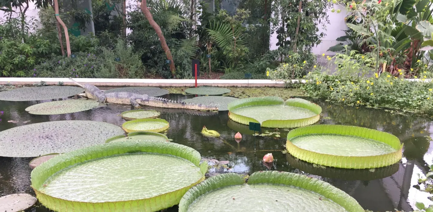 PADOVA - l'ORTO, L'ACQUA E IL SANTO
