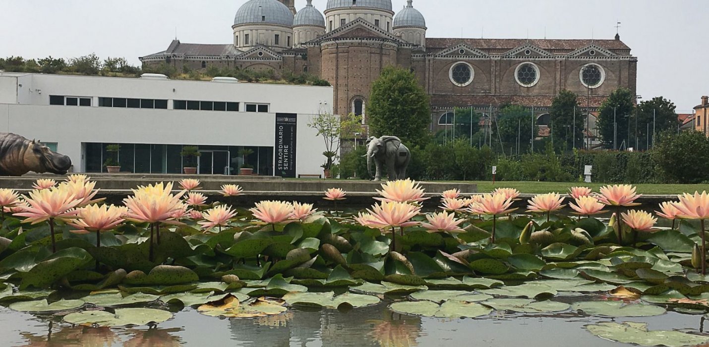 PADOVA - l'ORTO, L'ACQUA E IL SANTO PADOVA - l'ORTO, L'ACQUA E IL SANTO