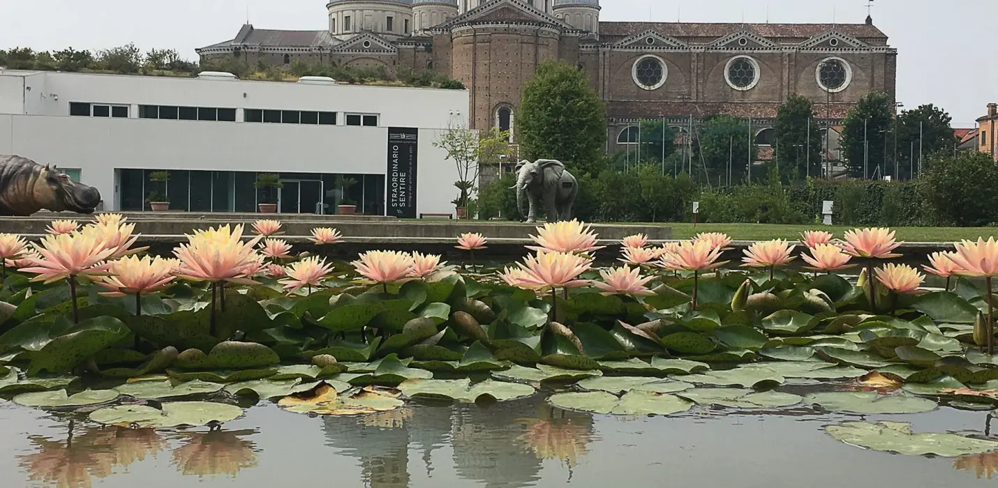 PADOVA - l'ORTO, L'ACQUA E IL SANTO
