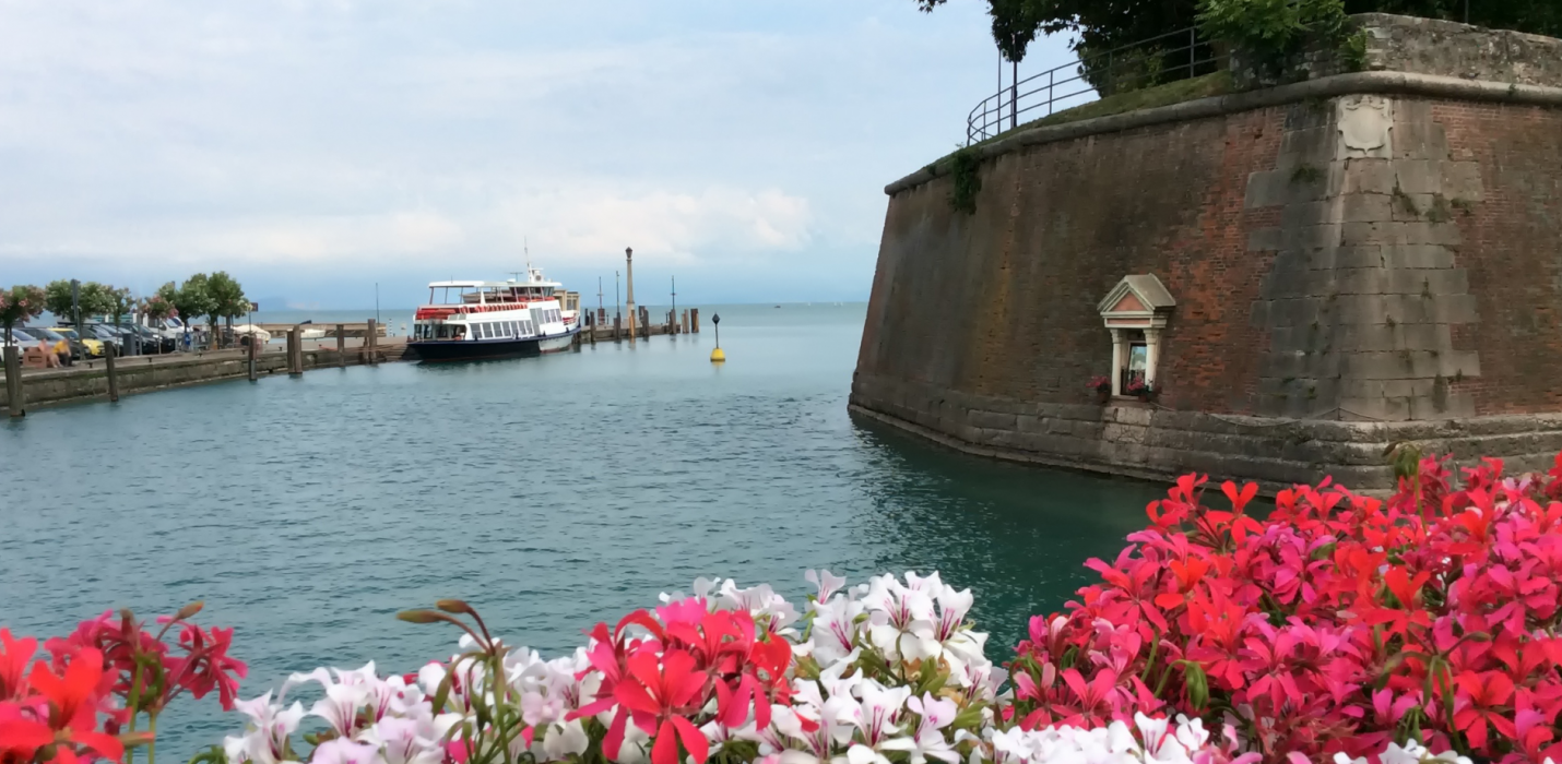 I FIORI DI LOTO E PESCHIERA DEL GARDA