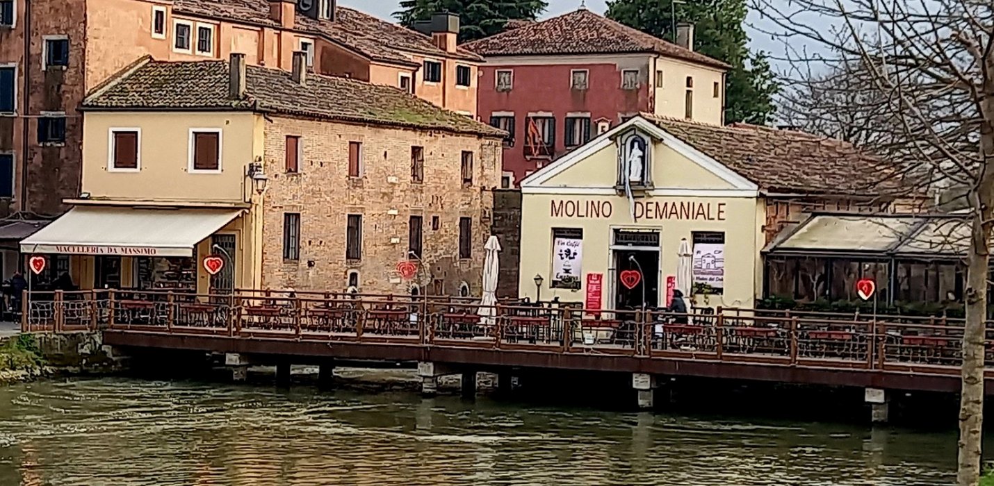 VILLE VENETE CON NAVIGAZIONE SUL BRENTA