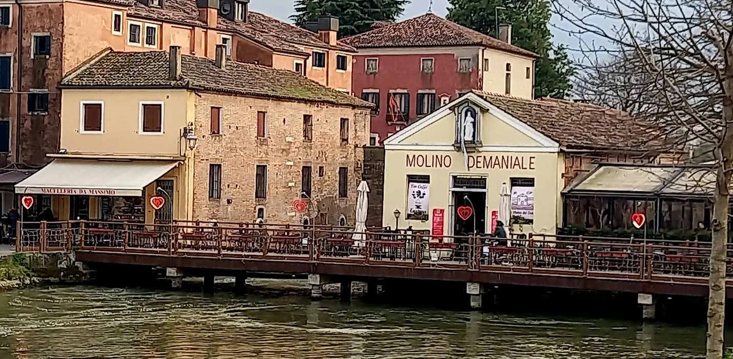 VILLE VENETE CON NAVIGAZIONE SUL BRENTA