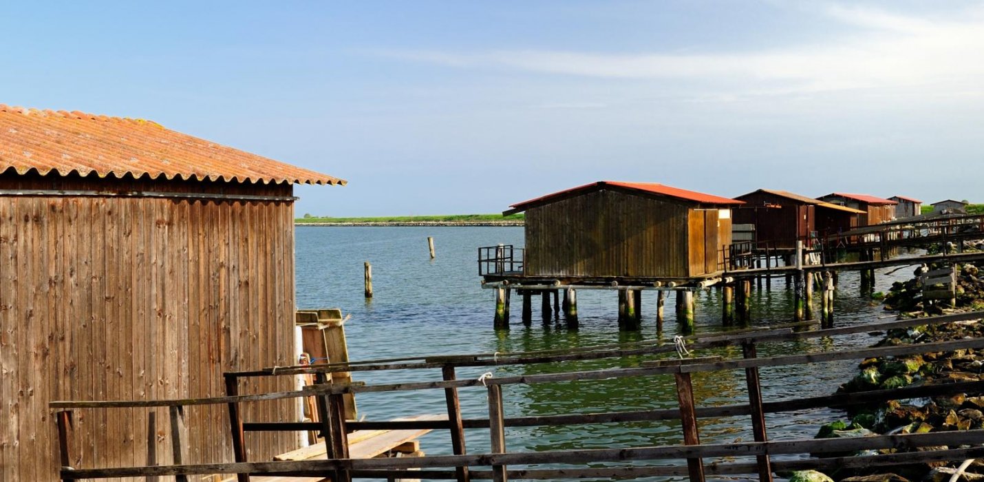 PARCO DEL DELTA DEL PO: L'OASI DI PORTO CALERI E LA GRANDE FOCE PARCO DEL DELTA DEL PO: L'OASI DI PORTO CALERI E LA GRANDE FOCE
