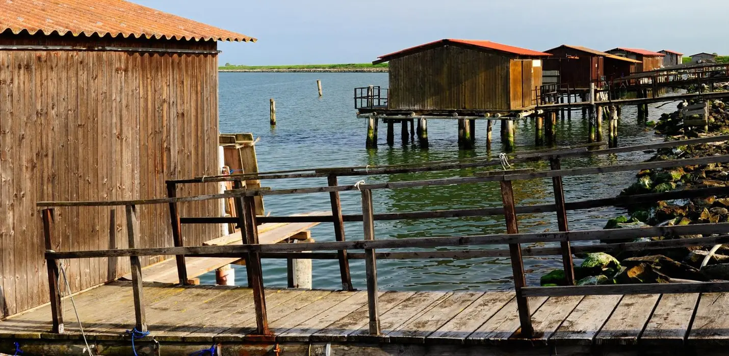 PARCO DEL DELTA DEL PO: L'OASI DI PORTO CALERI E LA GRANDE FOCE