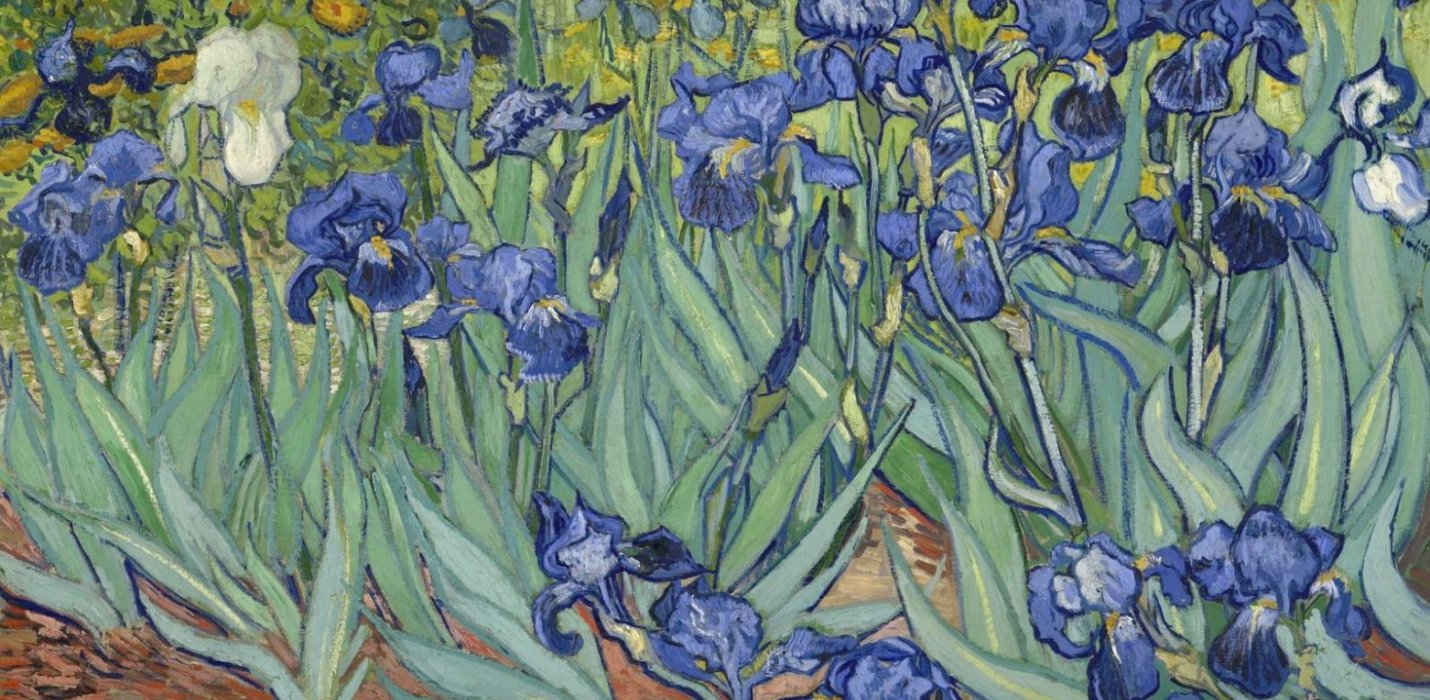 VICENZA & VAN GOGH VICENZA & VAN GOGH