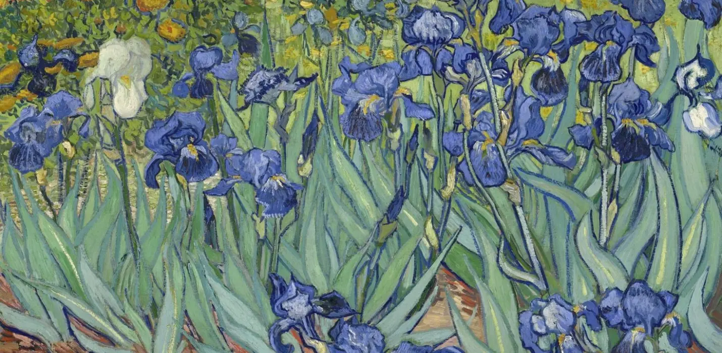 VICENZA & VAN GOGH