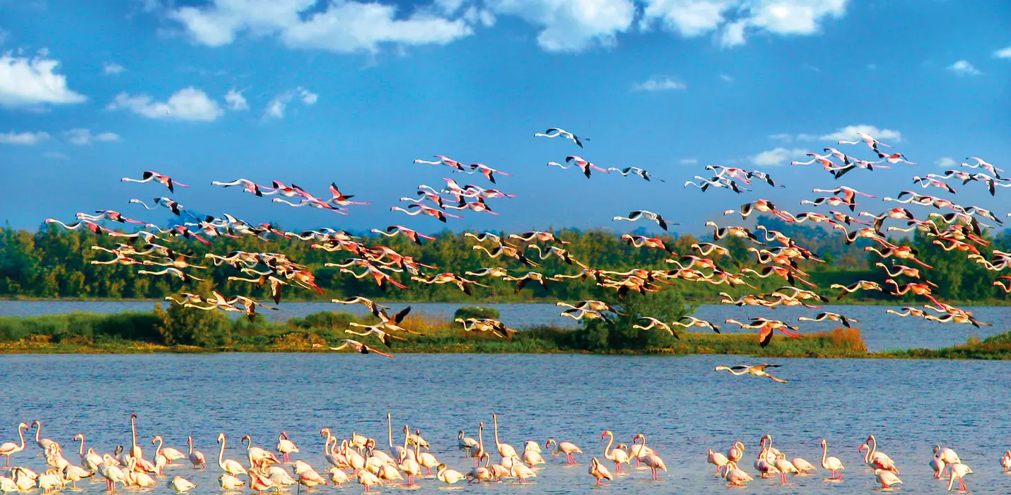 PARCO DEL DELTA DEL PO: L'OASI DI PORTO CALERI E LA GRANDE FOCE