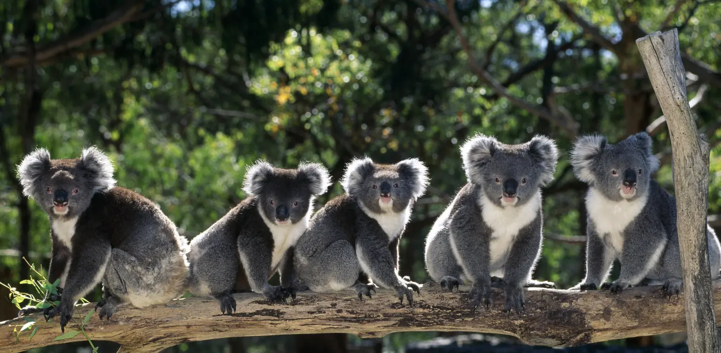 AUSTRALIA: L’ULTIMO PARADISO TERRESTRE