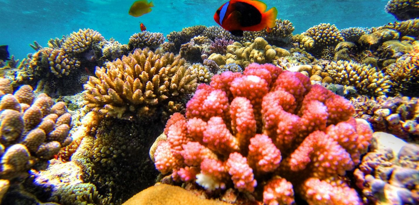 NUOVA CALEDONIA, NEL CUORE DELLA MICRONESIA