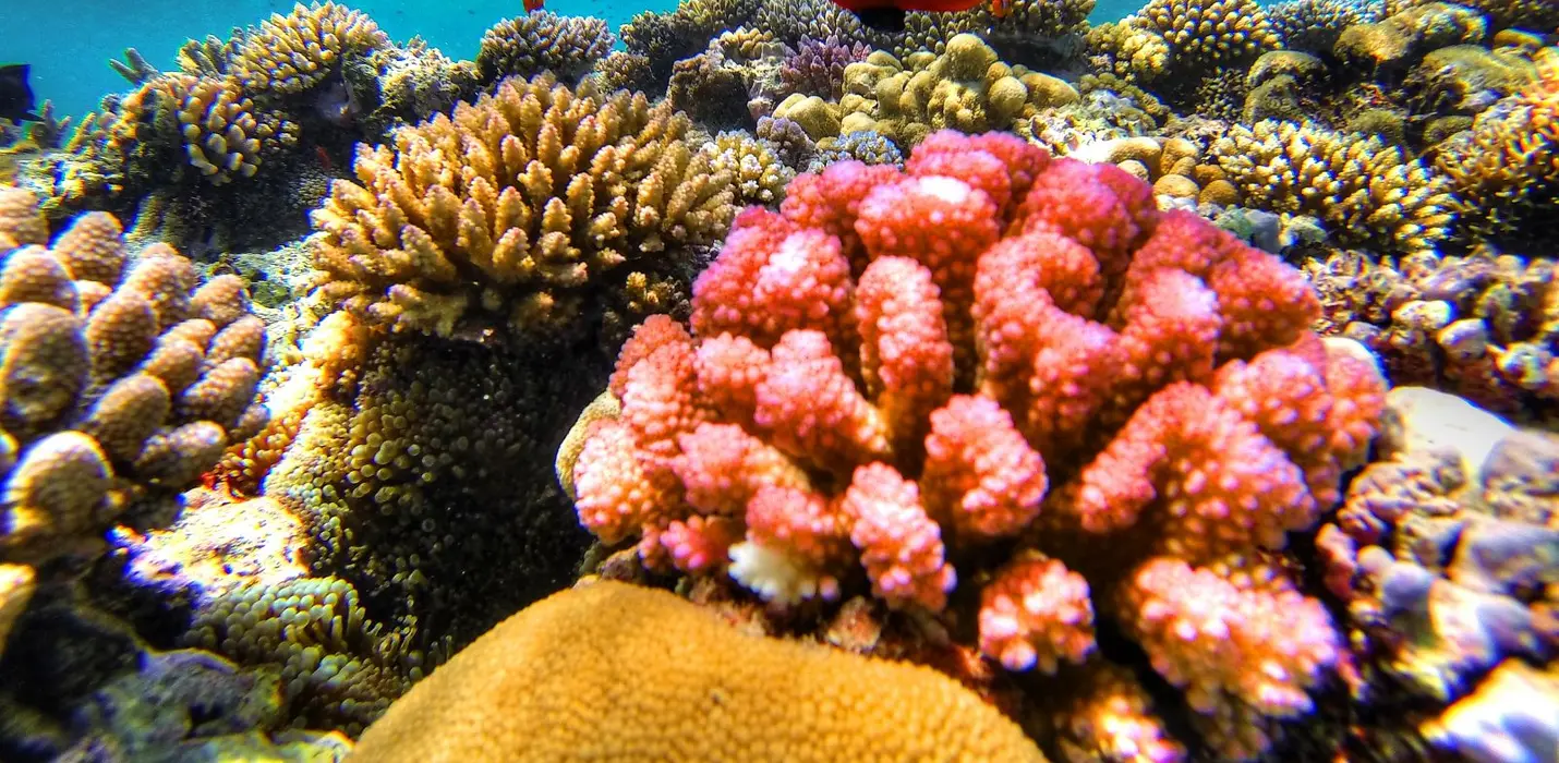 NUOVA CALEDONIA, NEL CUORE DELLA MICRONESIA