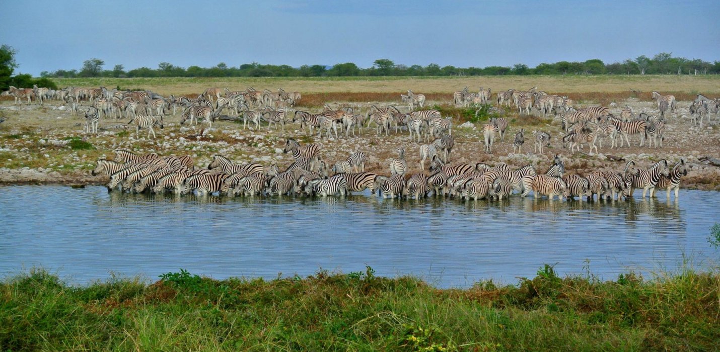AUTENTICA NAMIBIA IN GLAMPING