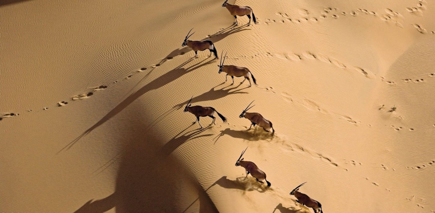 AUTENTICA NAMIBIA IN GLAMPING