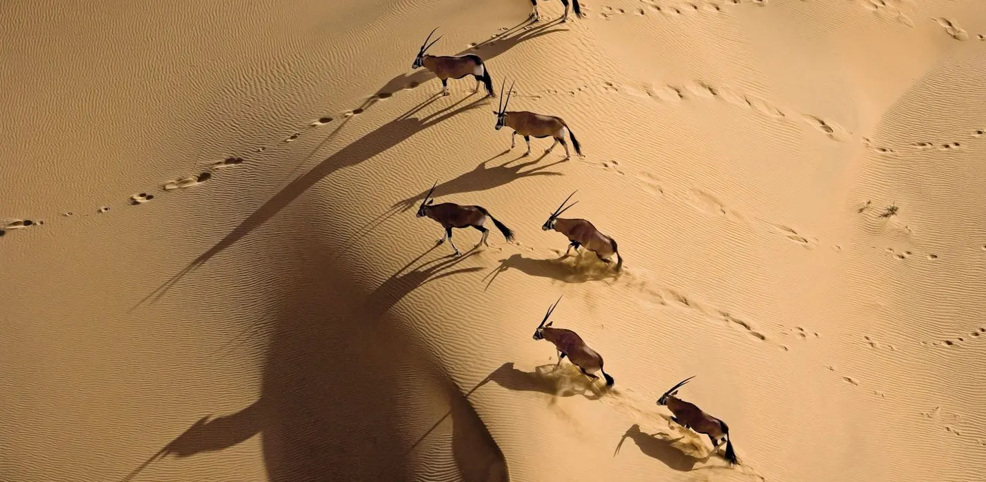 AUTENTICA NAMIBIA IN GLAMPING