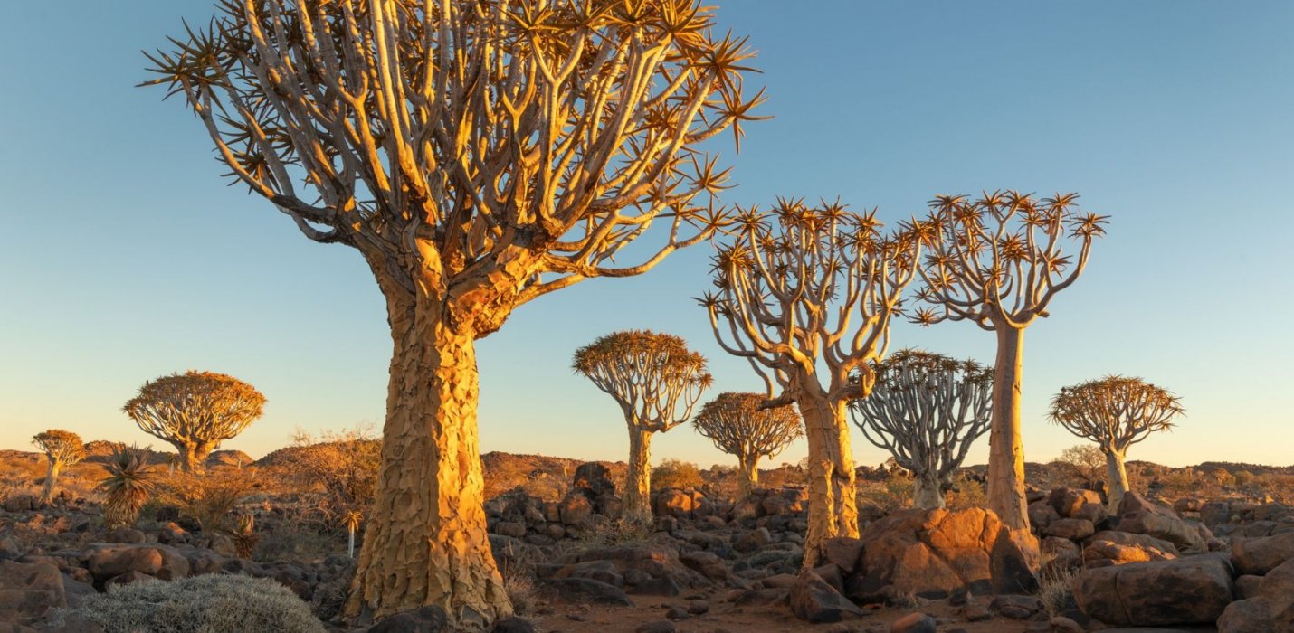 AUTENTICA NAMIBIA IN GLAMPING