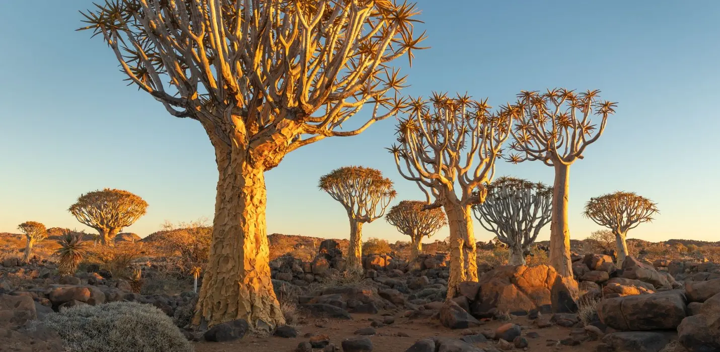 AUTENTICA NAMIBIA IN GLAMPING