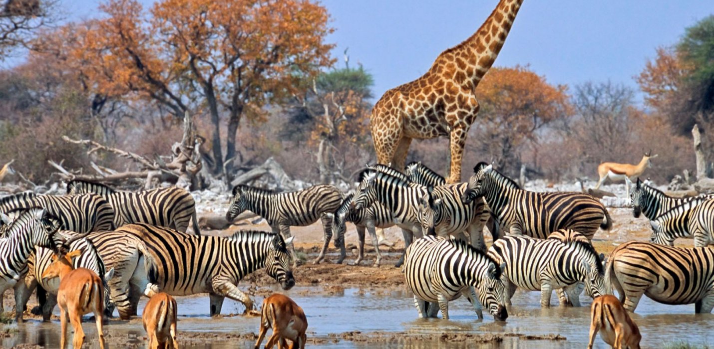 AUTENTICA NAMIBIA IN GLAMPING