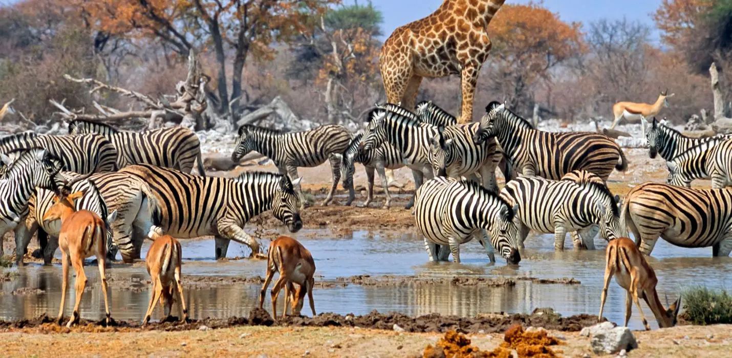 AUTENTICA NAMIBIA IN GLAMPING