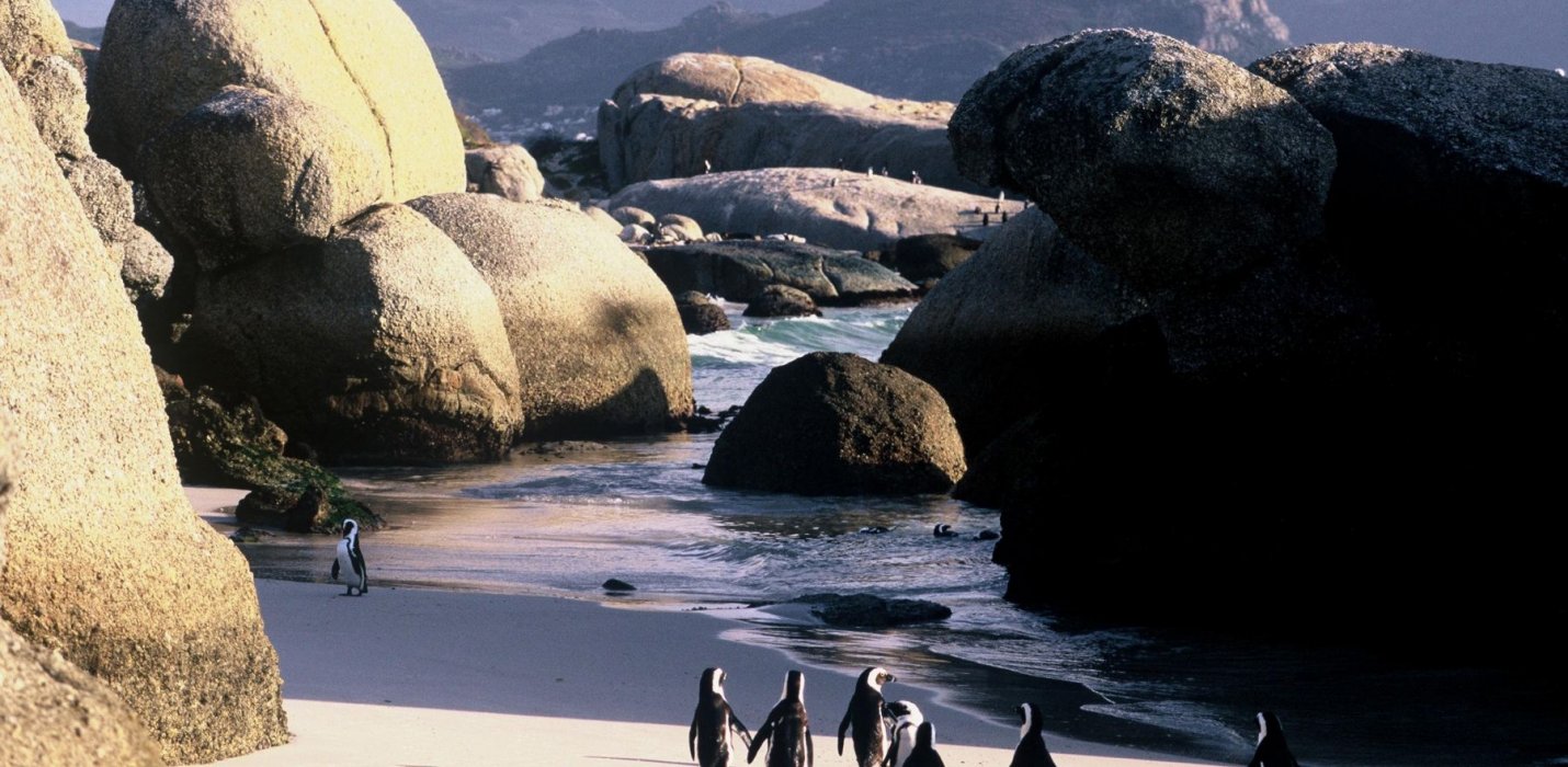 SUDAFRICA & MAURITIUS