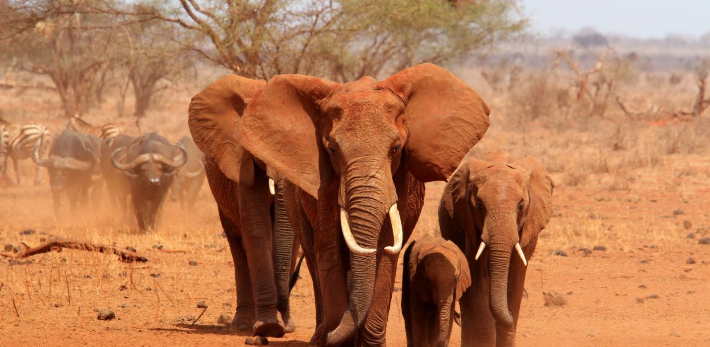 SUDAFRICA & MAURITIUS