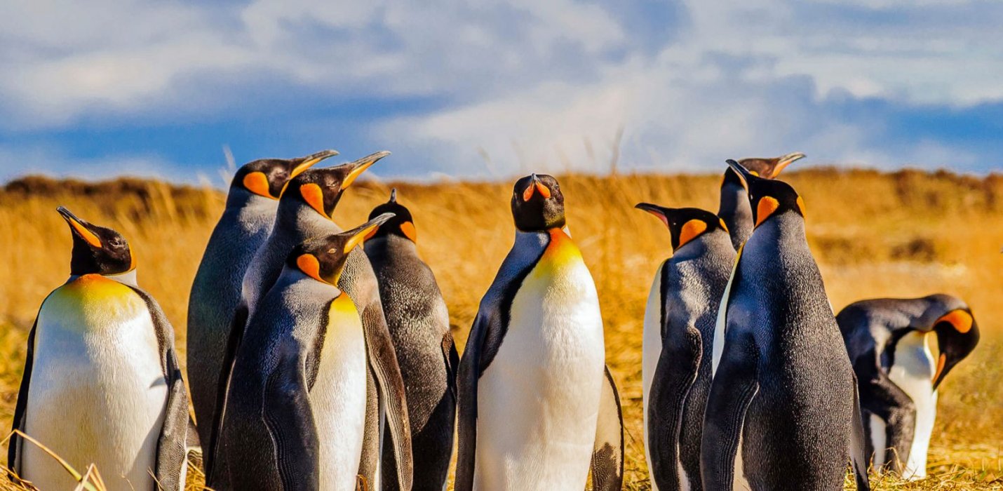 DESTINAZIONE PATAGONIA DESTINAZIONE PATAGONIA