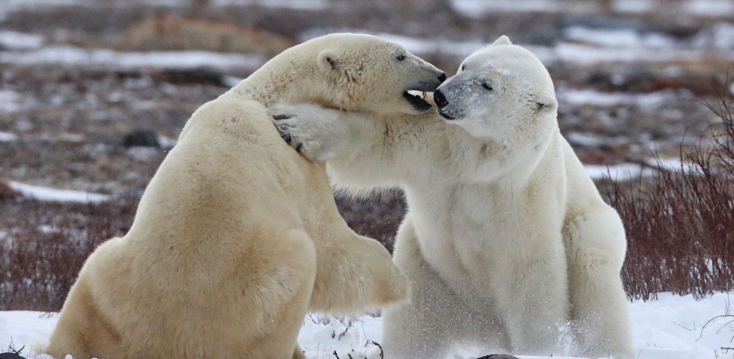 CANADA, NATURA GRANDIOSA CANADA, NATURA GRANDIOSA