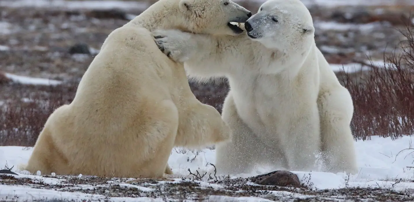 CANADA, NATURA GRANDIOSA