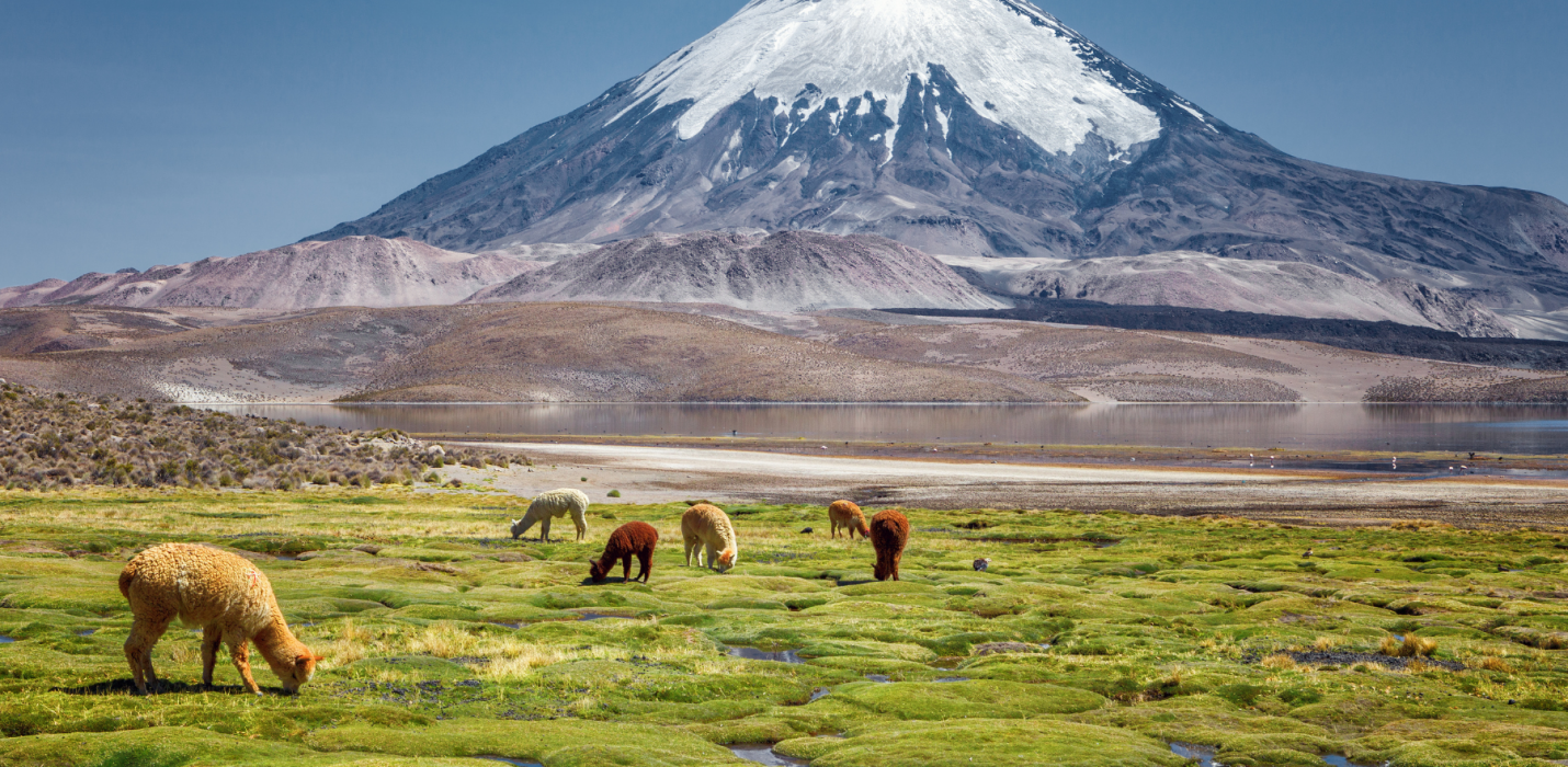 CILE, DALLE ANDE ALL'ISOLA DI PASQUA CILE, DALLE ANDE ALL'ISOLA DI PASQUA