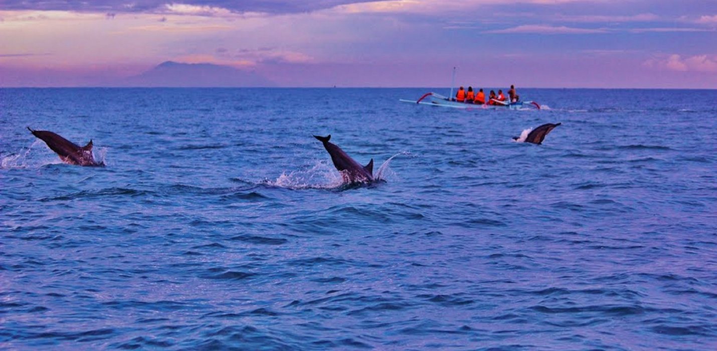 MINITOUR DI BALI MINITOUR DI BALI