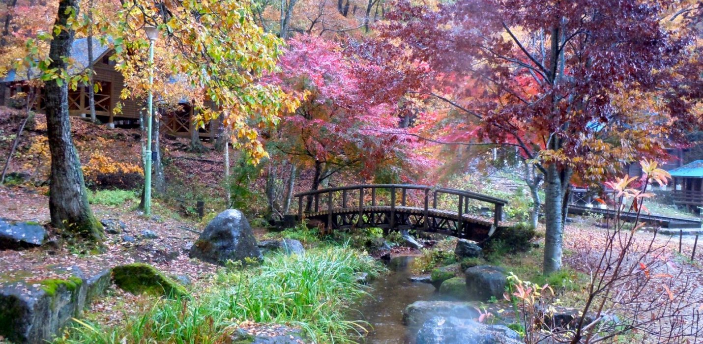 GIAPPONE, IL PAESE DEL SOL LEVANTE GIAPPONE, IL PAESE DEL SOL LEVANTE