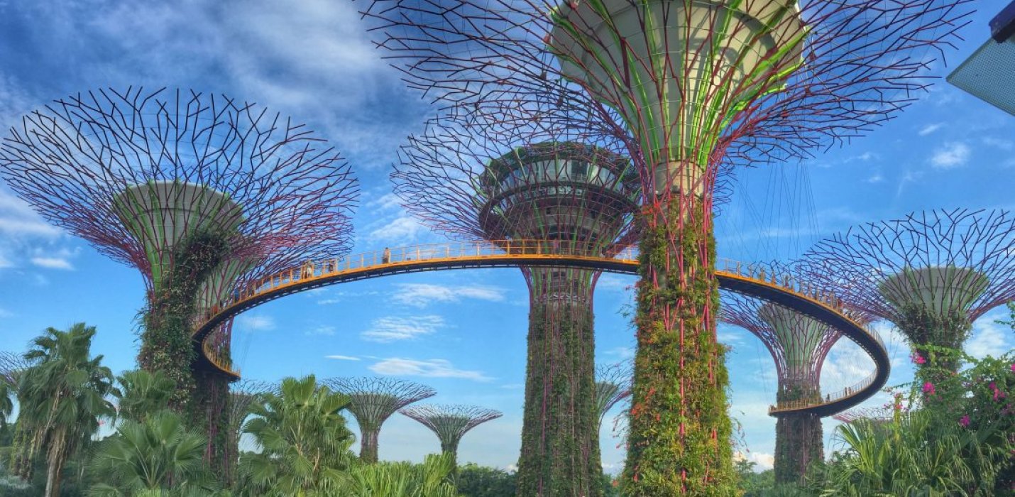 SINGAPORE & INDONESIA