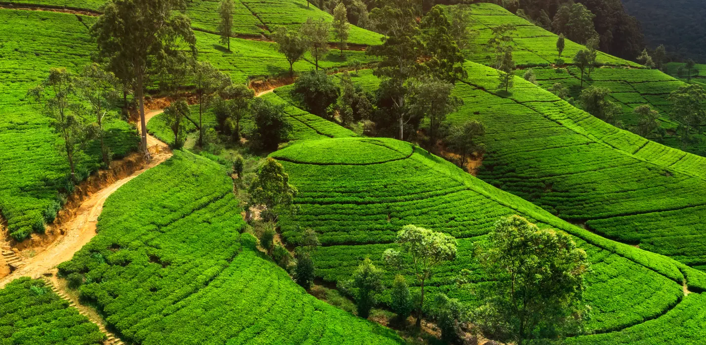 SRI LANKA, L'ISOLA RISPLENDENTE