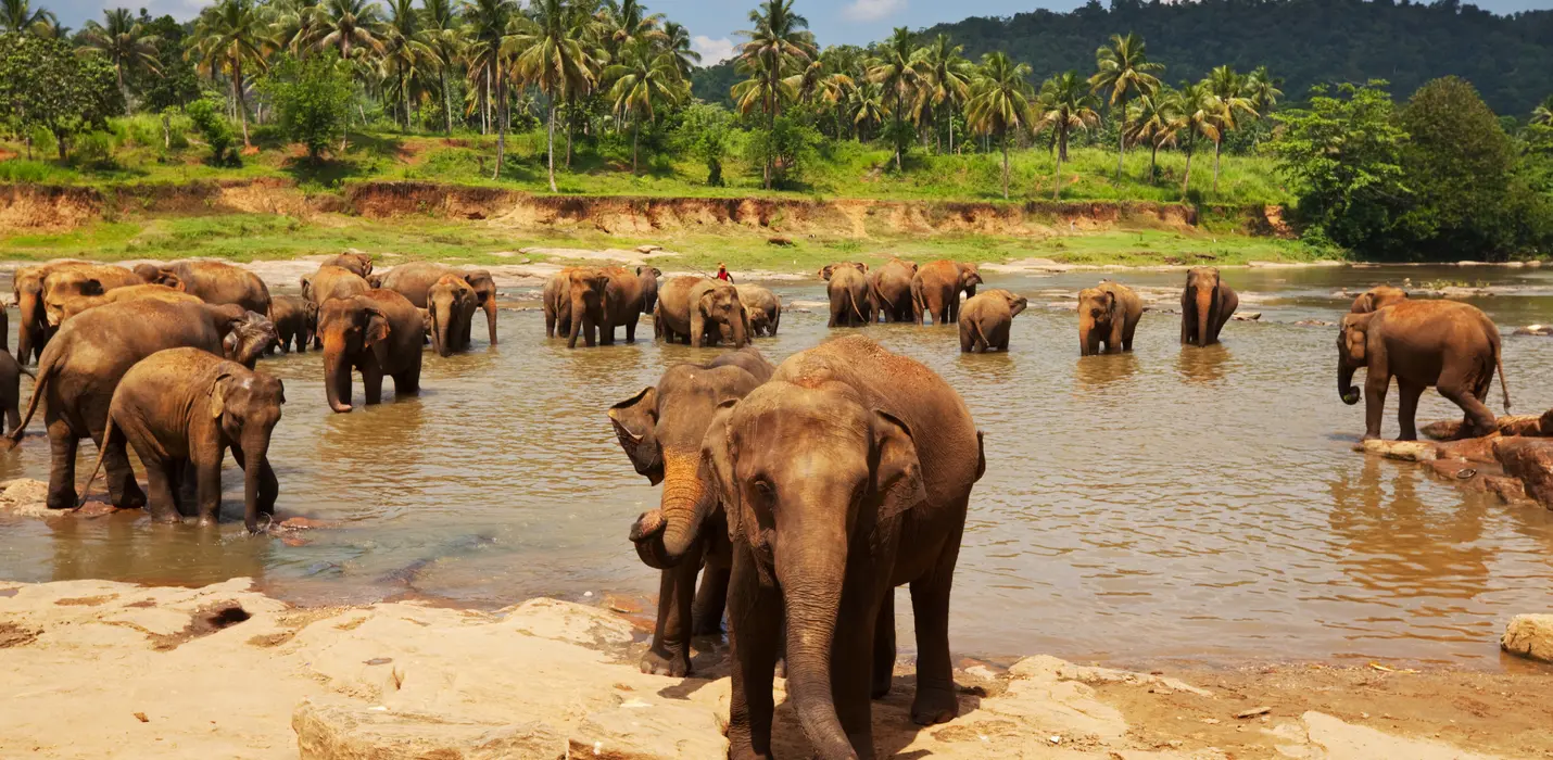 SRI LANKA, L'ISOLA RISPLENDENTE