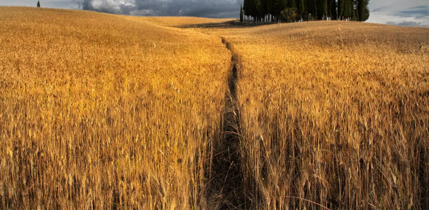CORSO DI PAESAGGIO