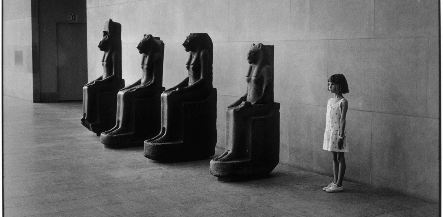 Foliage & mostra di Elliot Erwitt Foliage & mostra di Elliot Erwitt