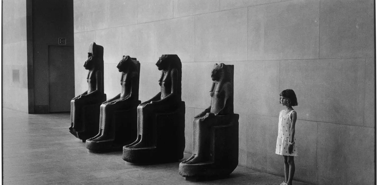 Foliage & mostra di Elliot Erwitt