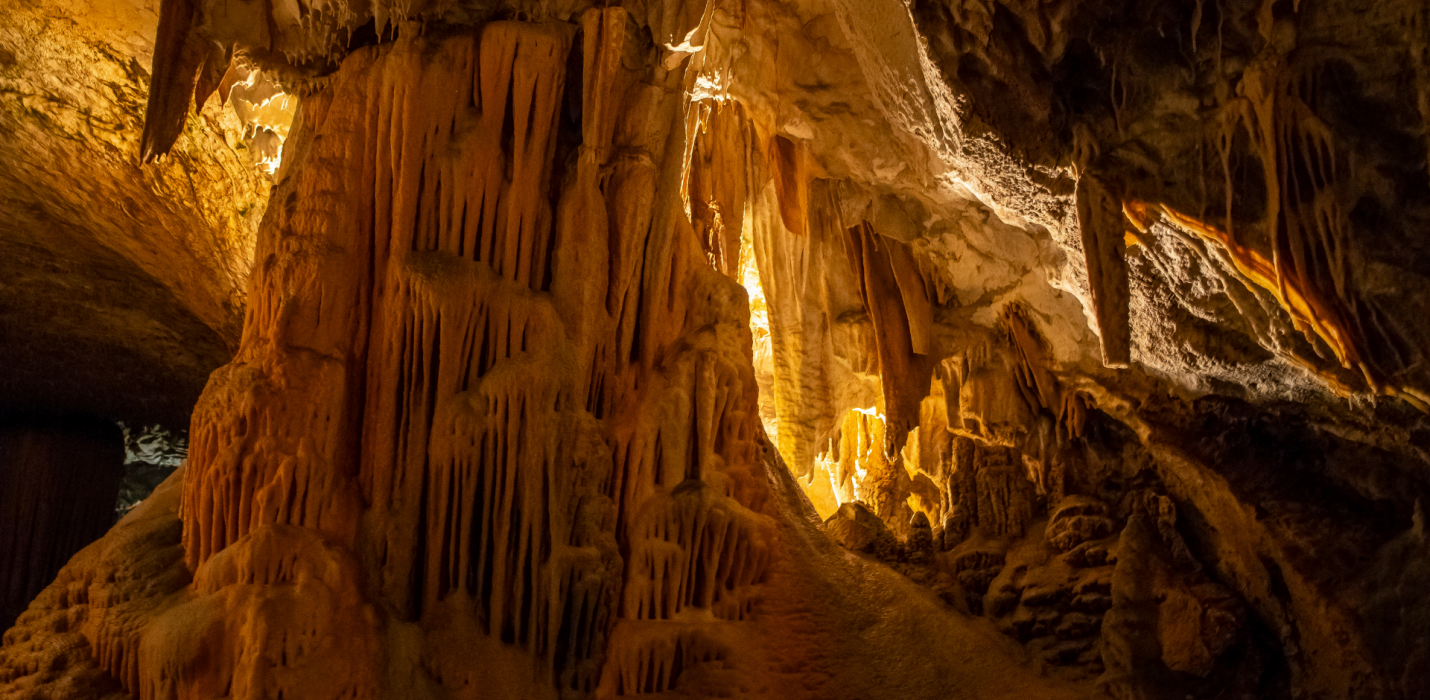 LAGHI DI PLITVICE, POLA, PARENZO, GROTTE DI POSTUMIA E CASTELLO DI PREDJAMA