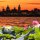 FIORI DI LOTO,  APERICENA  E TRAMONTO SU MANTOVA